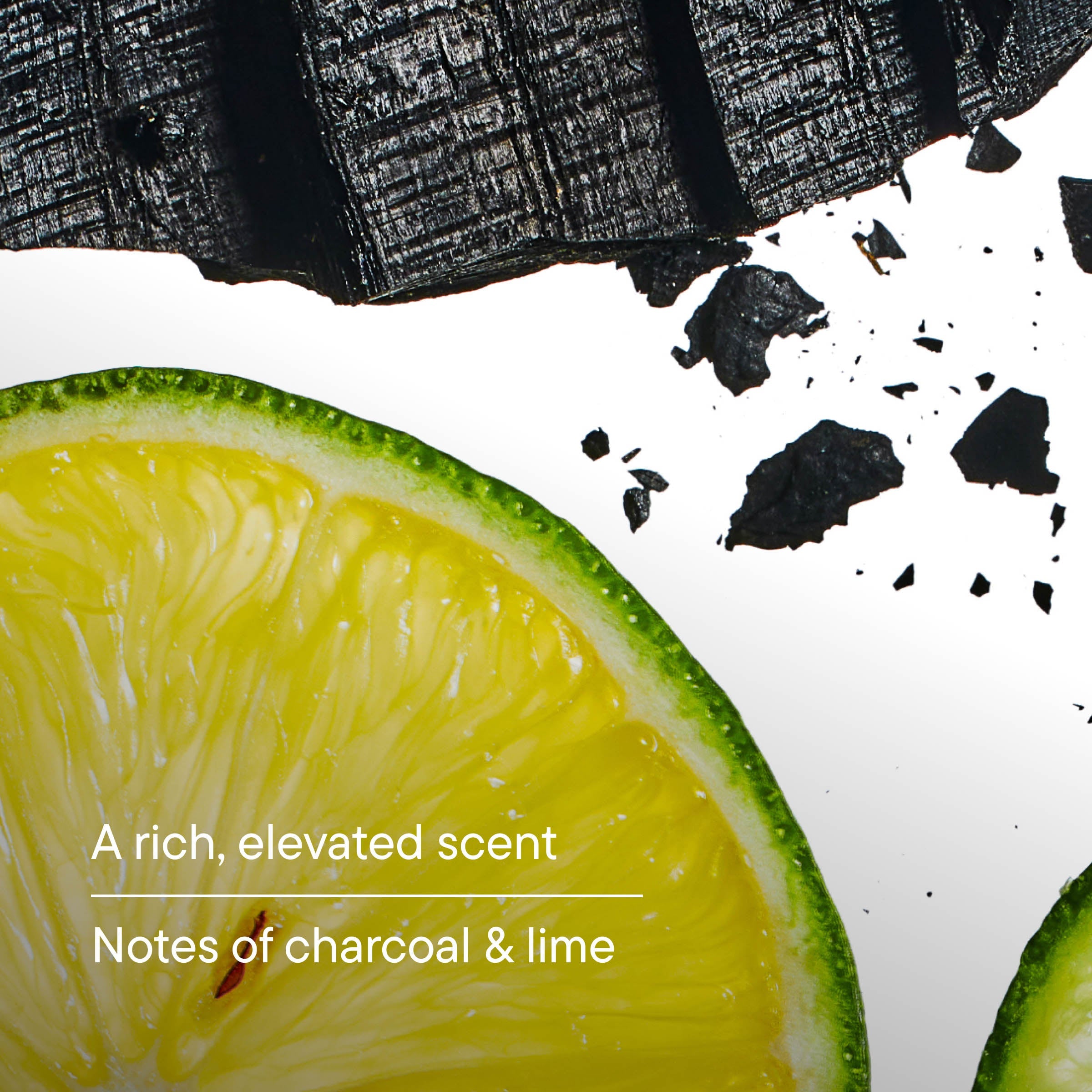 Head to Toe Cleansers - Everyday Razor Essential