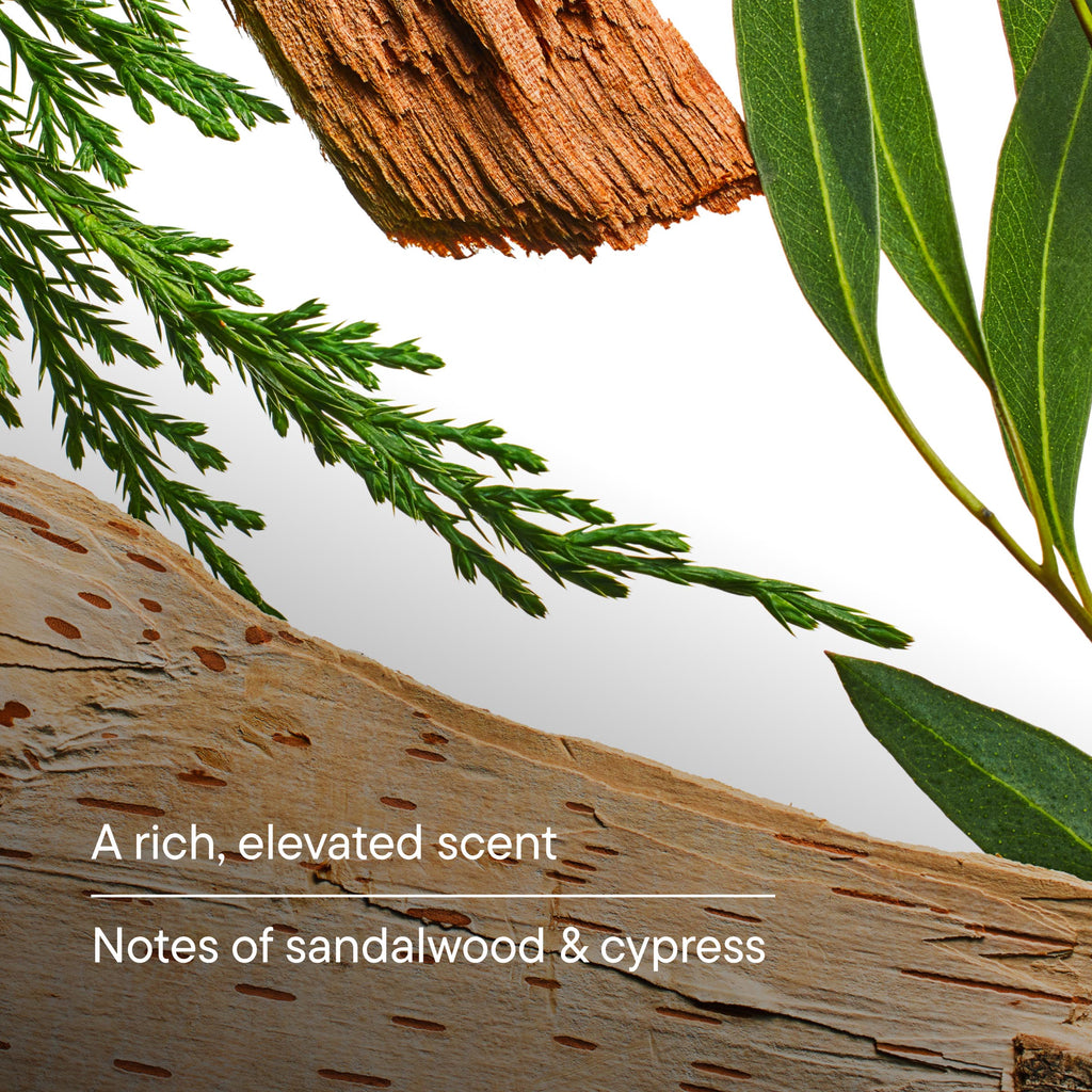 Close-up of sandalwood and cypress with text overlay on a white background