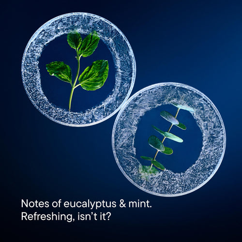Two circular frames with green leaves on a dark blue background, featuring text about eucalyptus and mint.